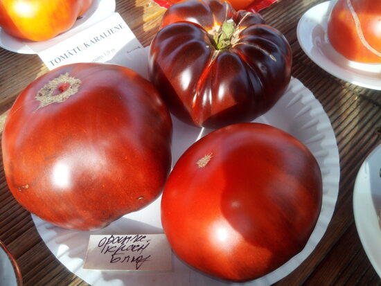 Оранжево-красный блюз